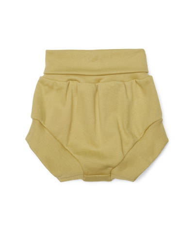 #color_94-leek-green