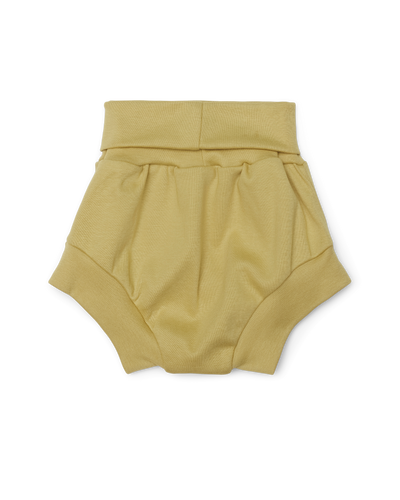 #color_94-leek-green